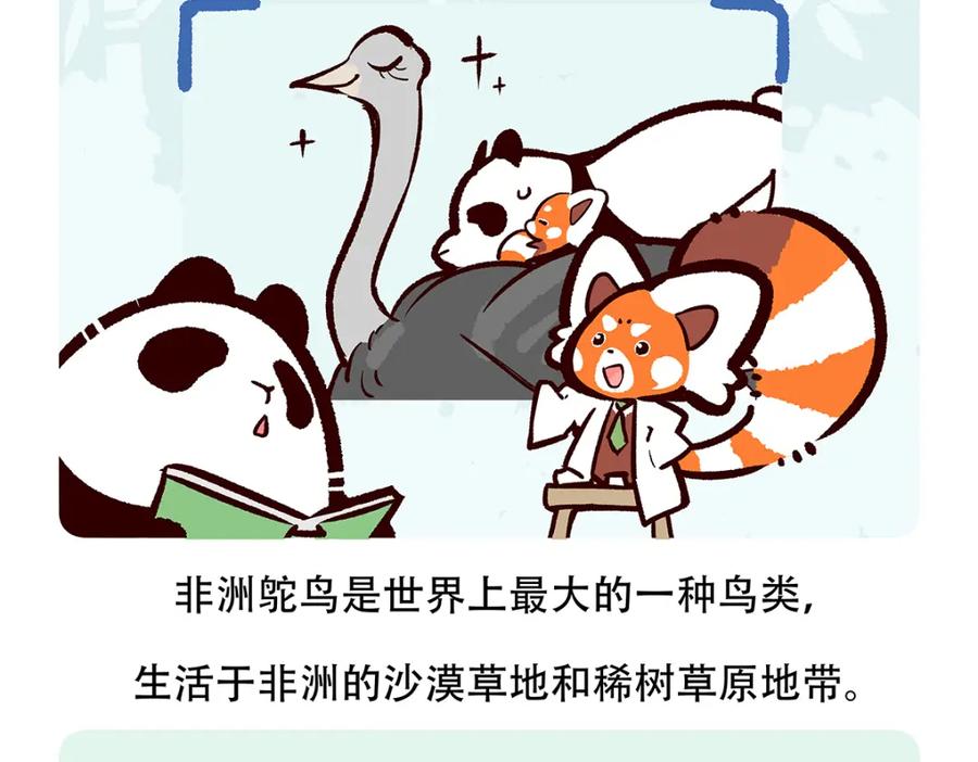 《胖达x胖达》第102话 第20页