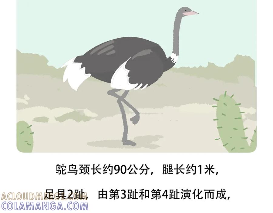 《胖达x胖达》第102话 第21页
