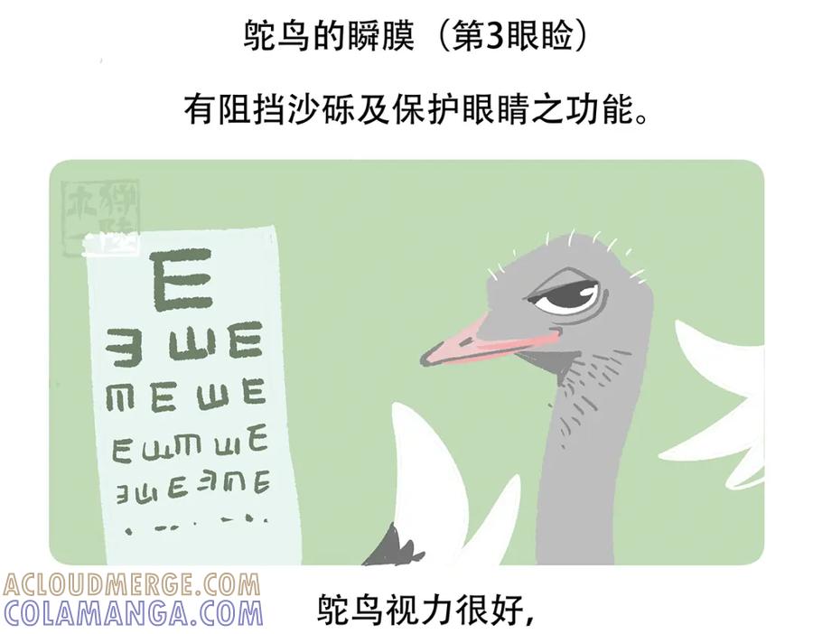 《胖达x胖达》第103话 第31页
