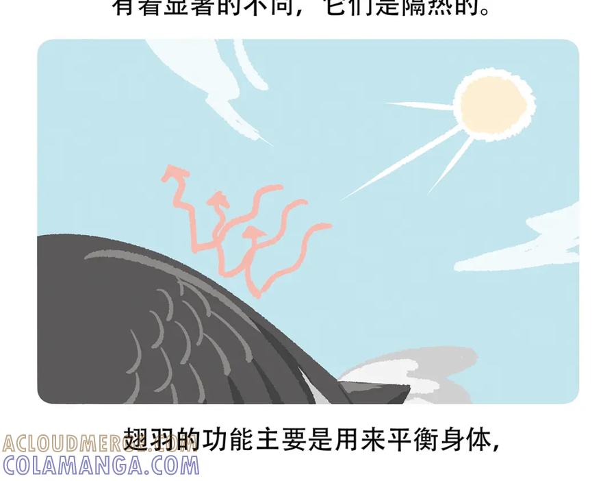 《胖达x胖达》第103话 第21页