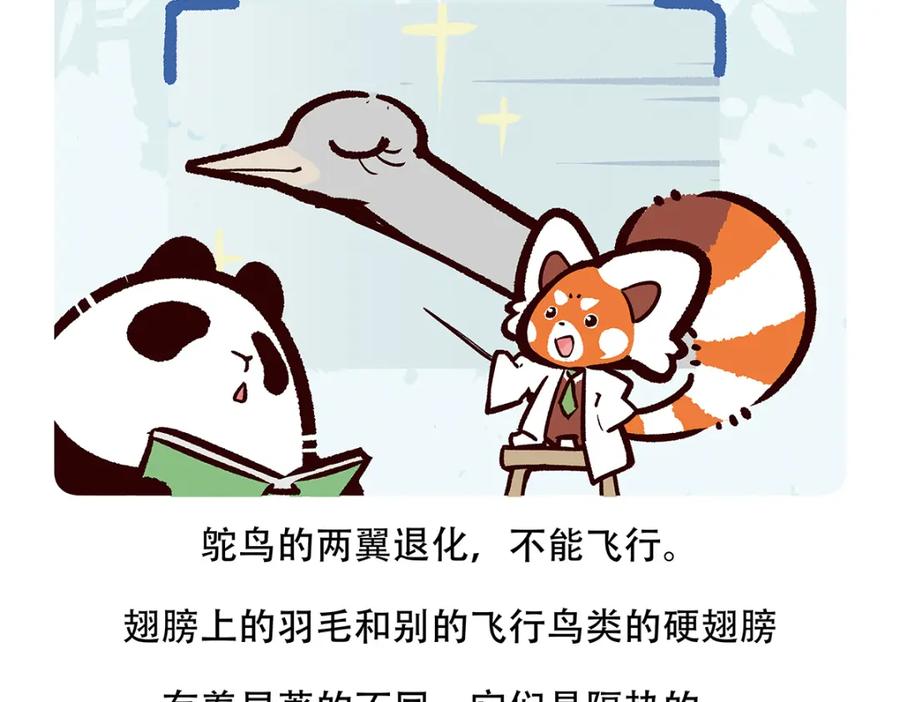 《胖达x胖达》第103话 第20页