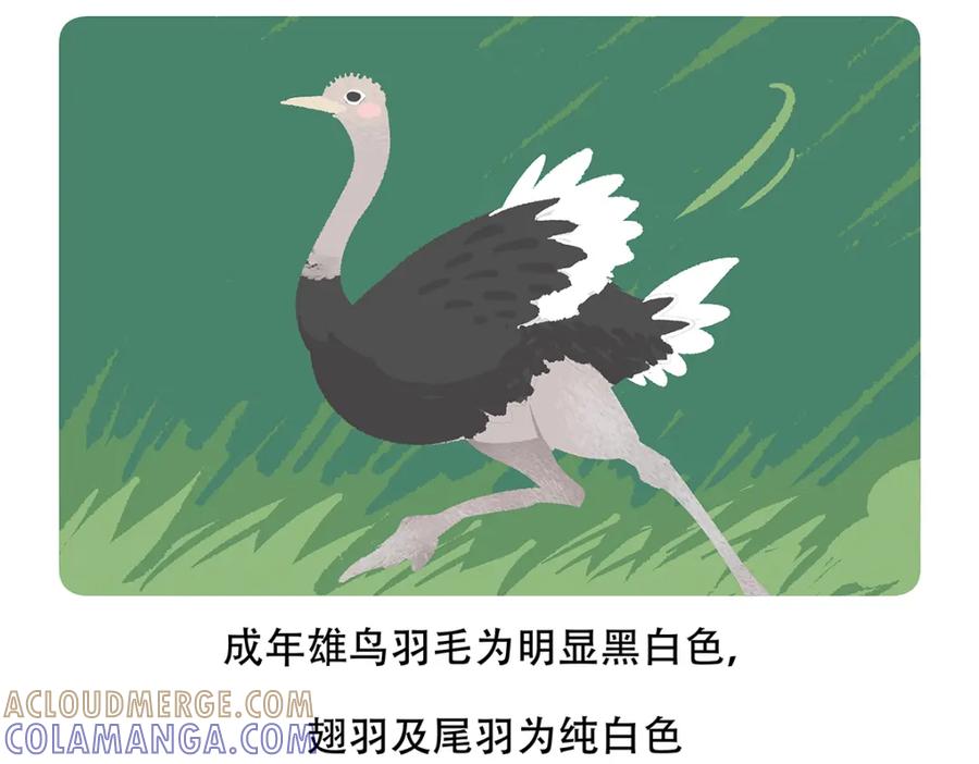 《胖达x胖达》第103话 第23页