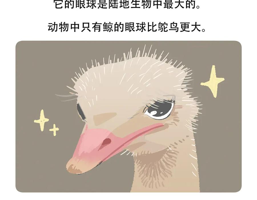 《胖达x胖达》第103话 第28页