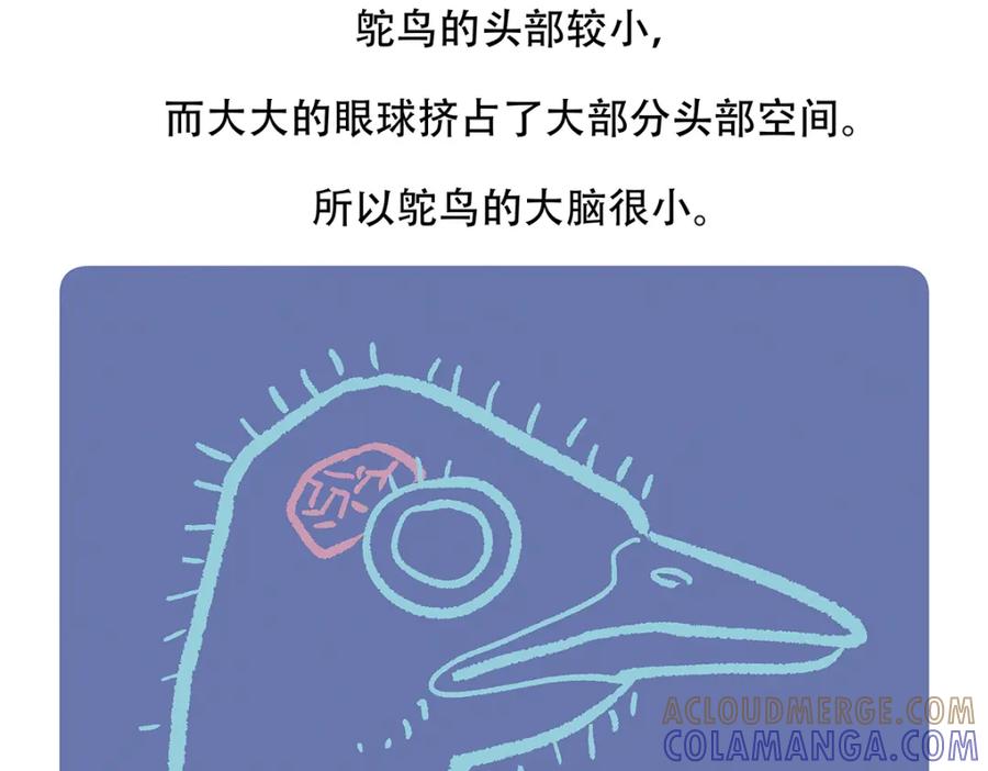 《胖达x胖达》第103话 第29页