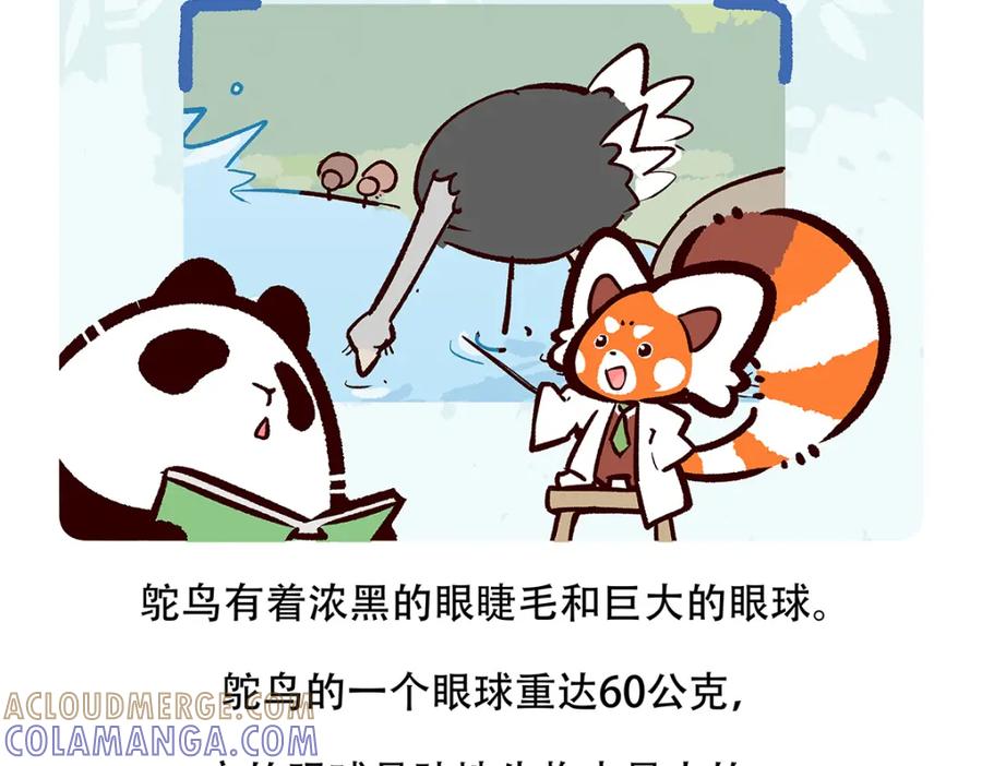 《胖达x胖达》第103话 第27页