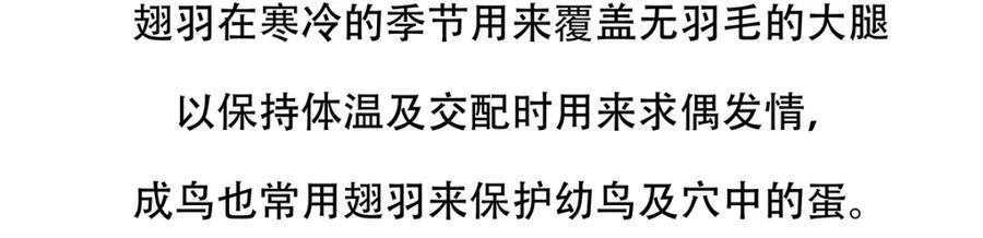《胖达x胖达》第103话 第22页