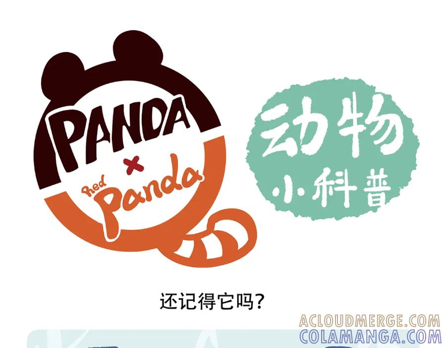 《胖达x胖达》第103话 第19页