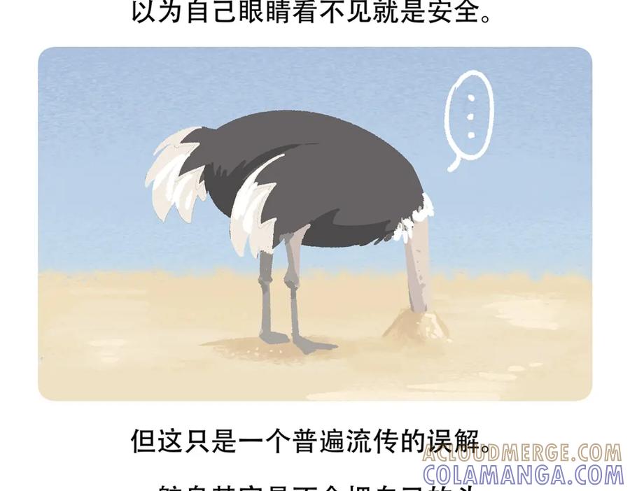 《胖达x胖达》第104话 第21页
