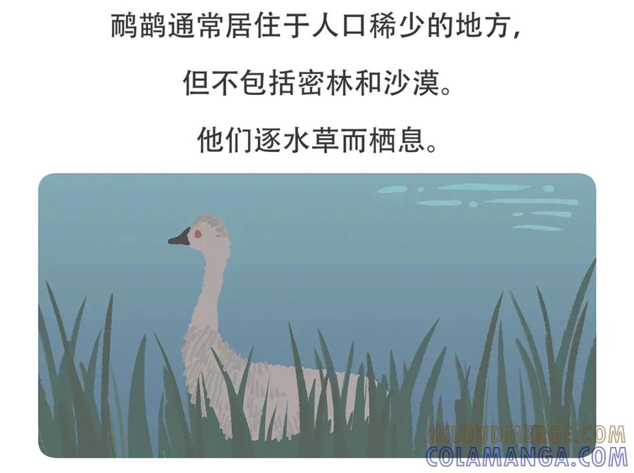 《胖达x胖达》第104话 第29页