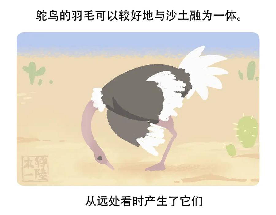 《胖达x胖达》第104话 第24页