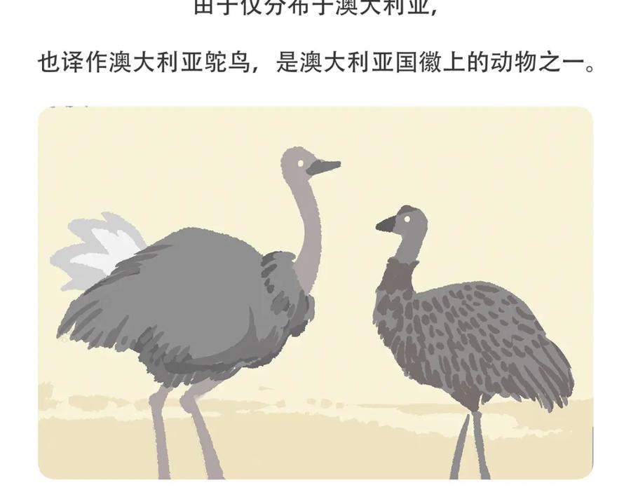 《胖达x胖达》第104话 第28页