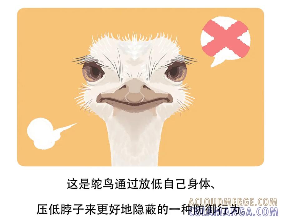 《胖达x胖达》第104话 第23页