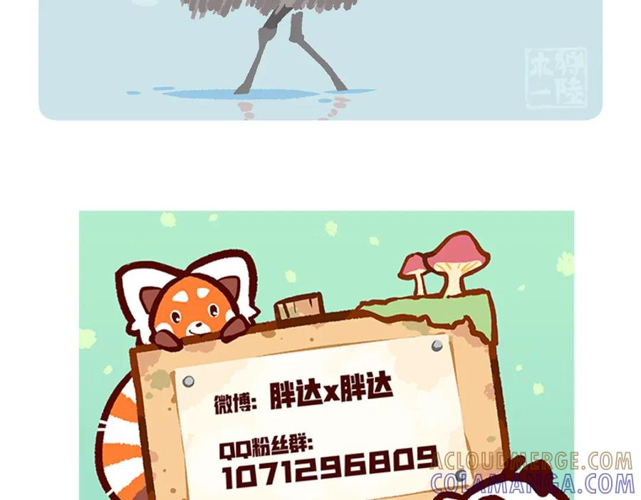 《胖达x胖达》第104话 第31页