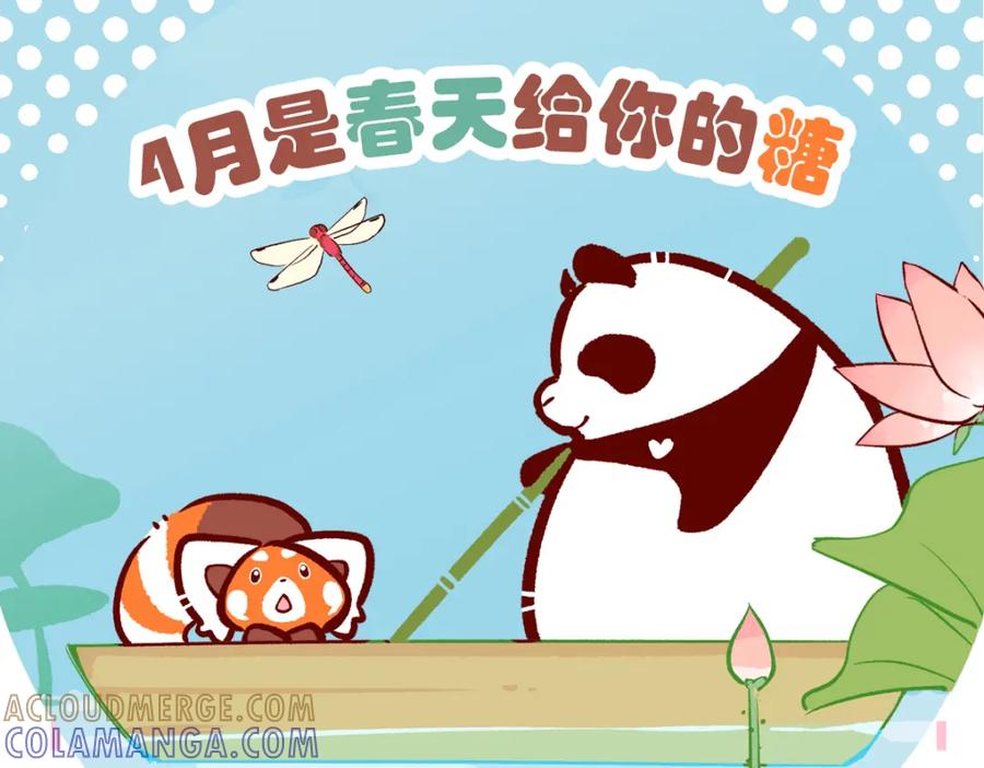《胖达x胖达》第104话 第33页