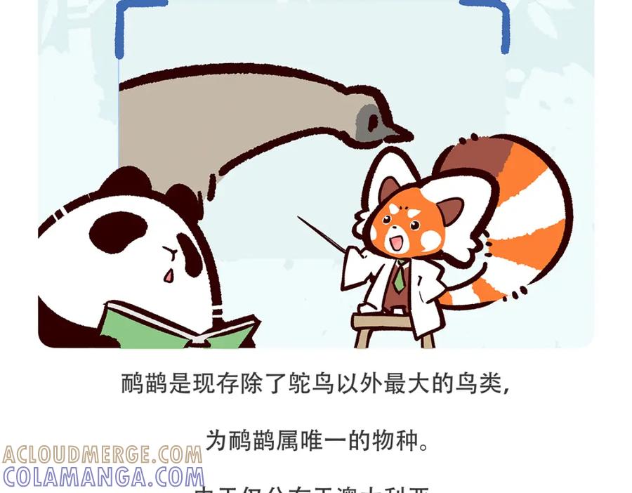 《胖达x胖达》第104话 第27页