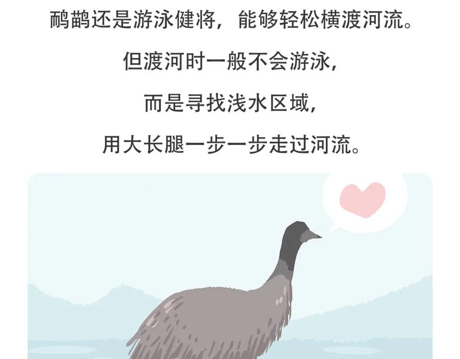 《胖达x胖达》第104话 第30页