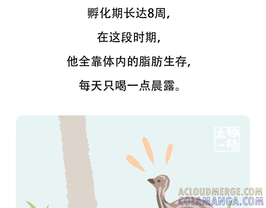 《胖达x胖达》第105话 第31页