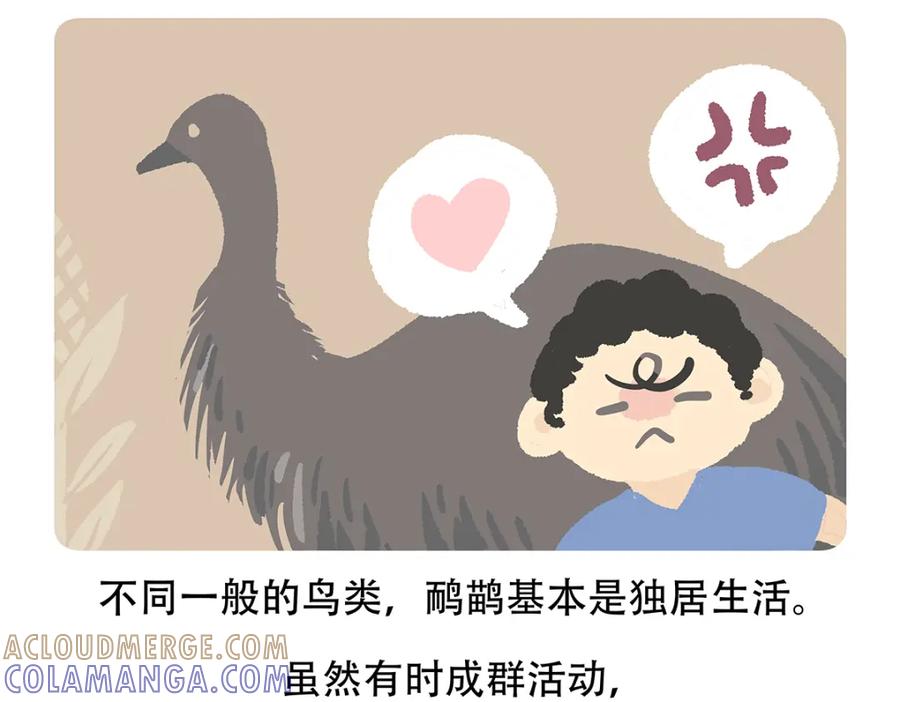 《胖达x胖达》第105话 第23页