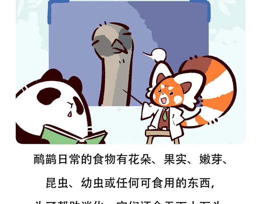 《胖达x胖达》第105话 第20页