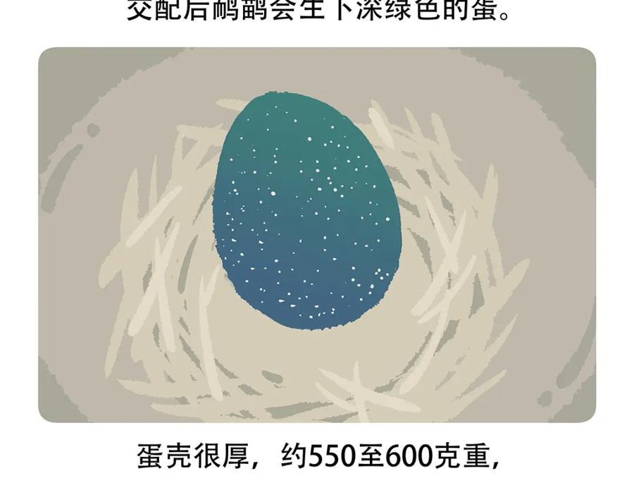 《胖达x胖达》第105话 第28页