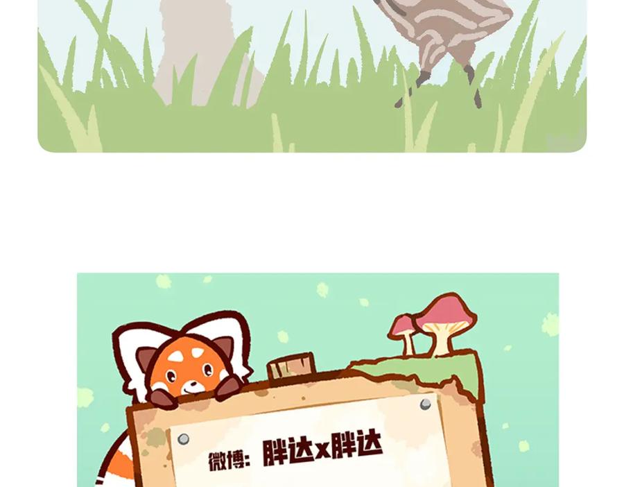 《胖达x胖达》第105话 第32页