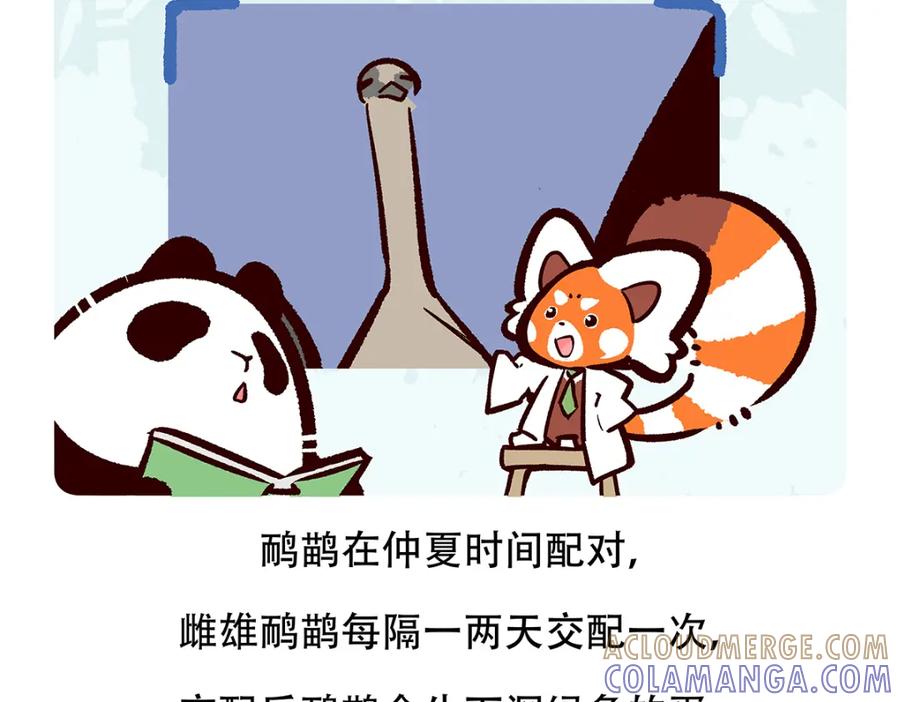 《胖达x胖达》第105话 第27页