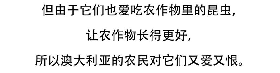 《胖达x胖达》第105话 第22页