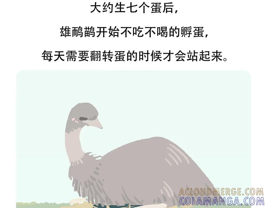 《胖达x胖达》第105话 第29页
