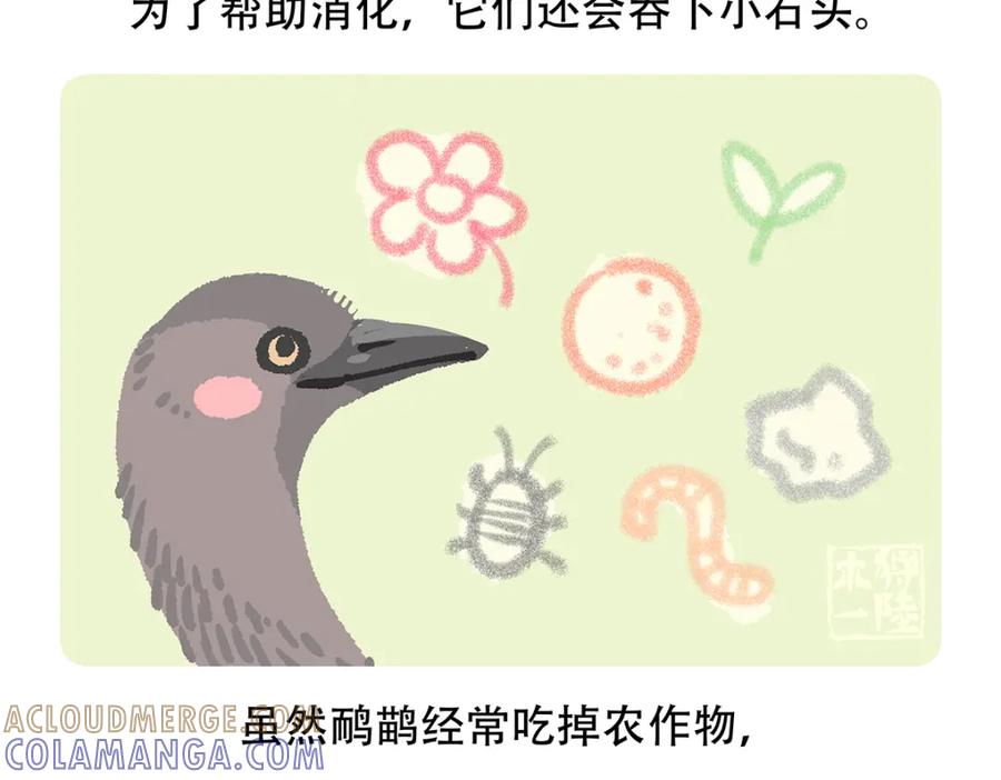 《胖达x胖达》第105话 第21页