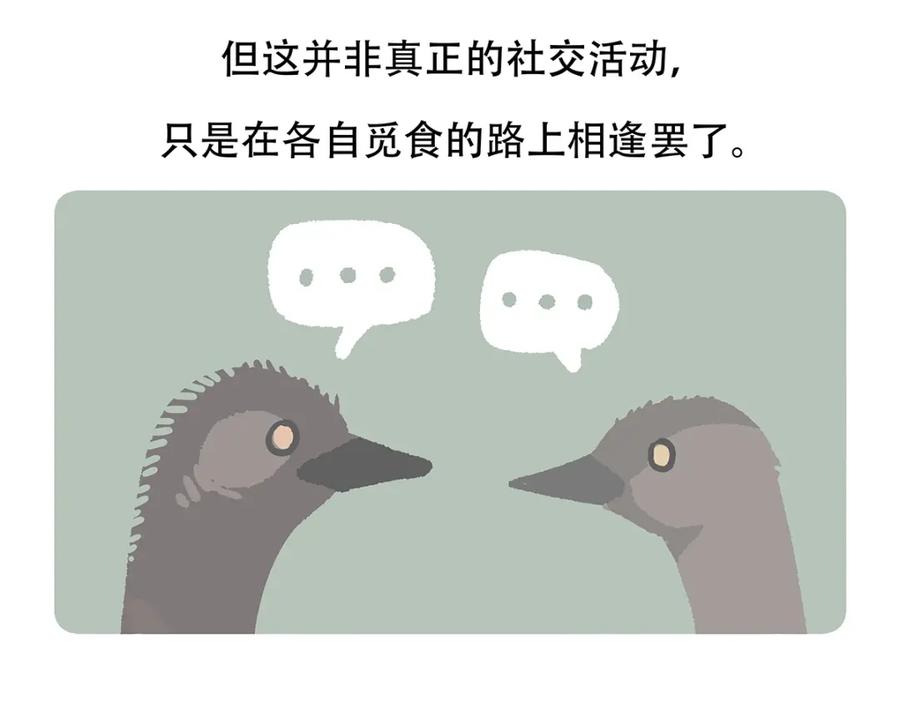 《胖达x胖达》第105话 第24页