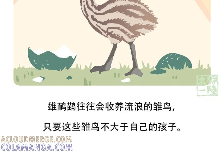 《胖达x胖达》第106话 第25页