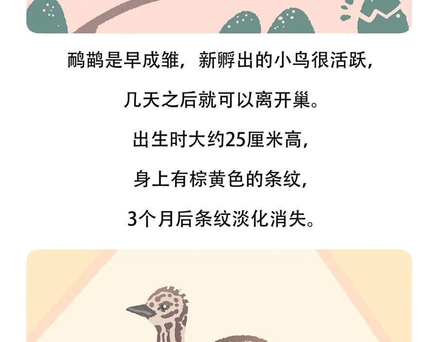 《胖达x胖达》第106话 第24页