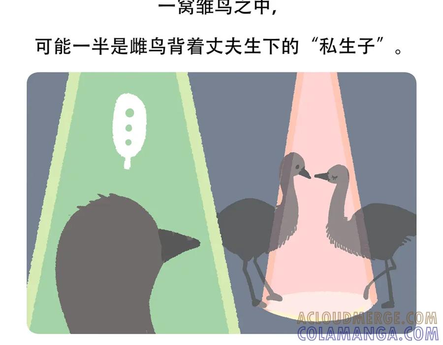 《胖达x胖达》第106话 第21页