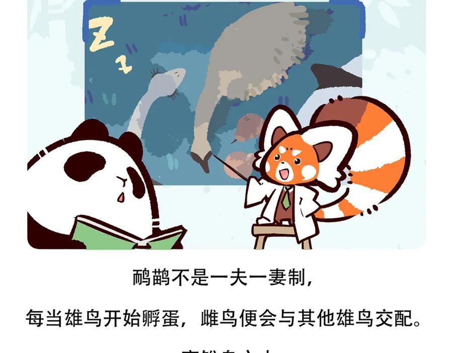 《胖达x胖达》第106话 第20页