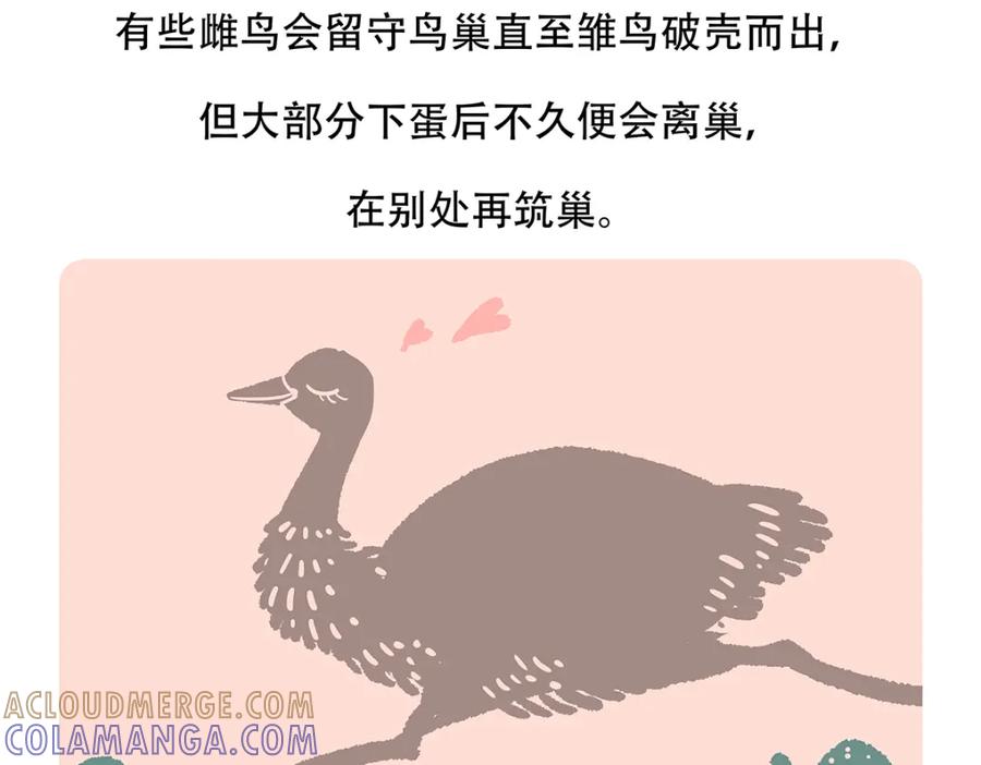 《胖达x胖达》第106话 第23页