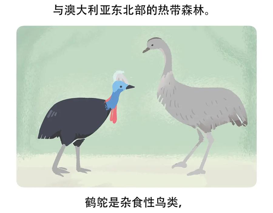 《胖达x胖达》第106话 第28页