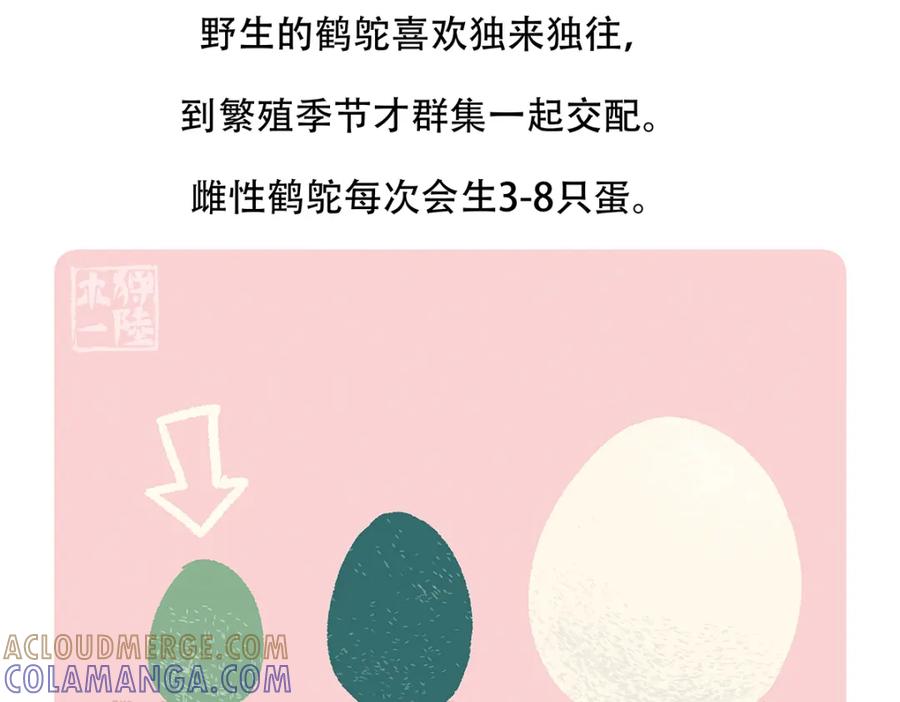 《胖达x胖达》第106话 第31页