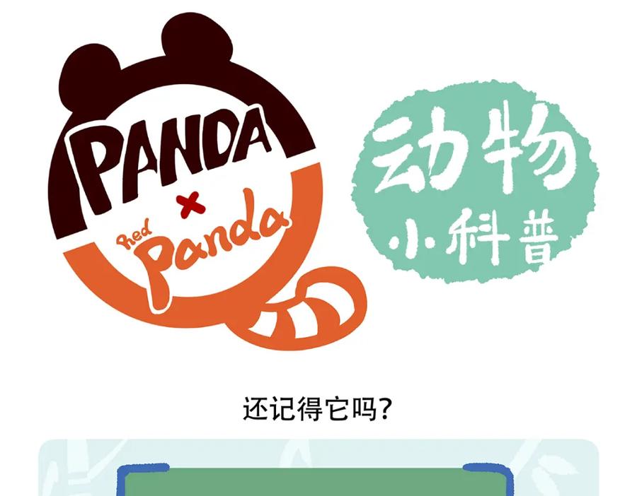 《胖达x胖达》第106话 第26页