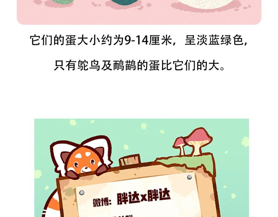 《胖达x胖达》第106话 第32页