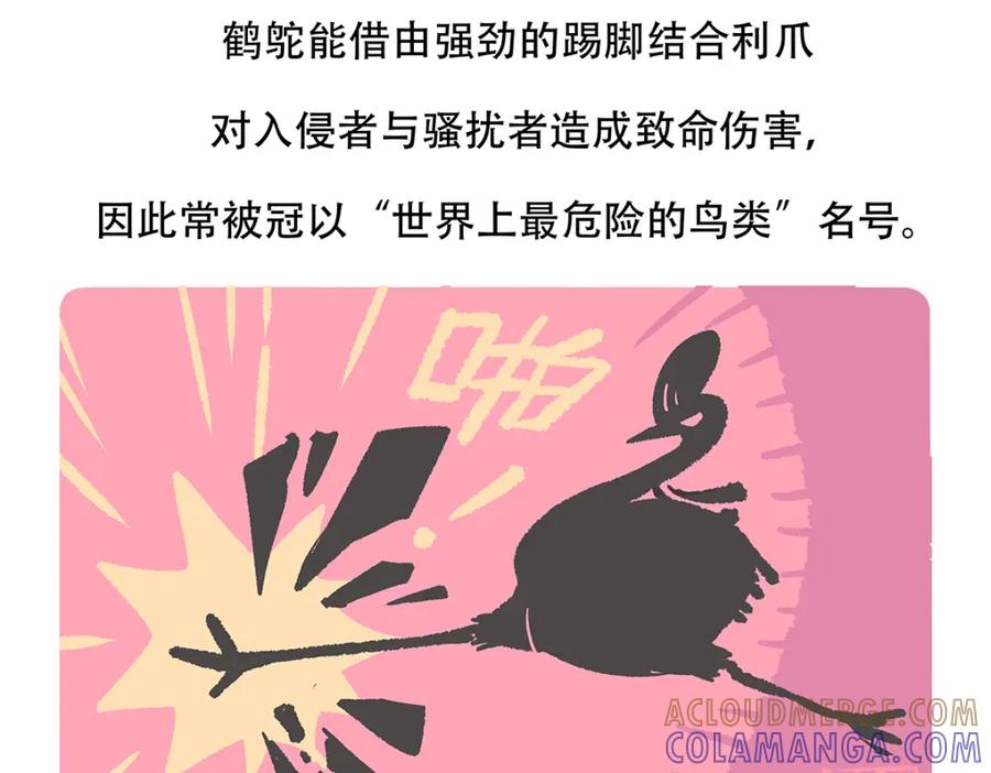 《胖达x胖达》第107话 第29页