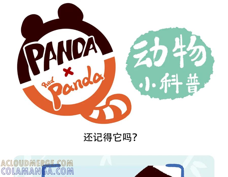 《胖达x胖达》第107话 第25页