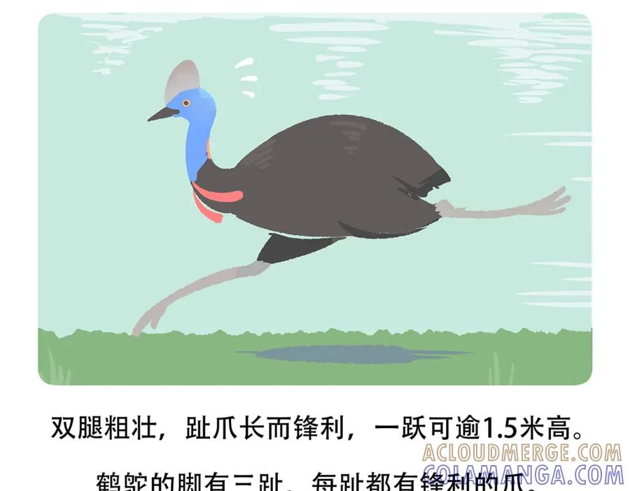 《胖达x胖达》第107话 第27页