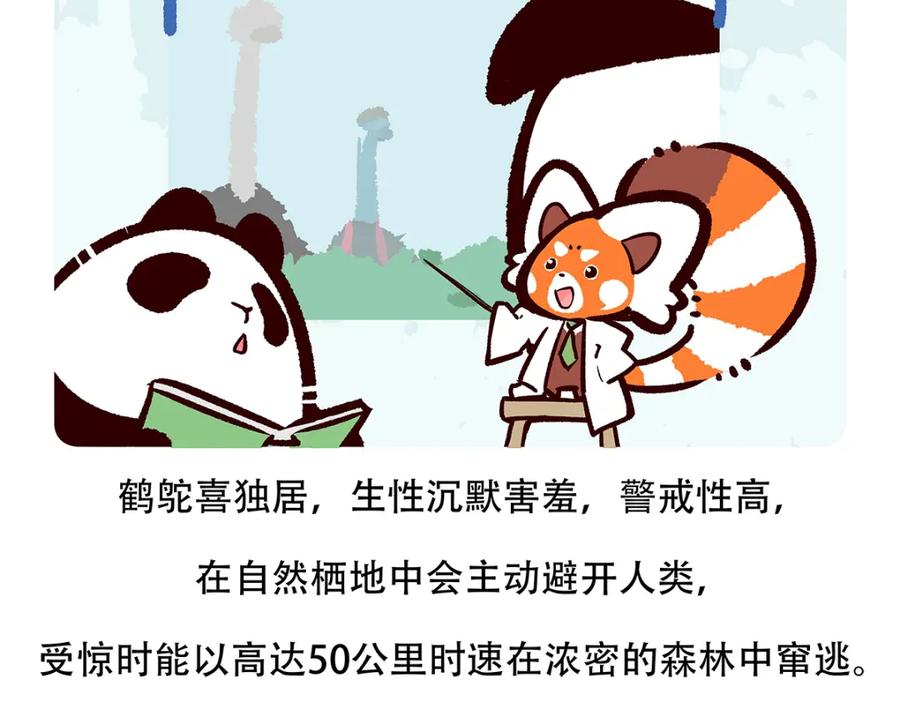 《胖达x胖达》第107话 第26页