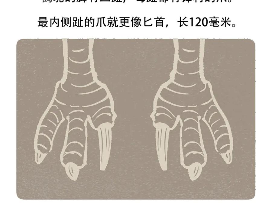 《胖达x胖达》第107话 第28页