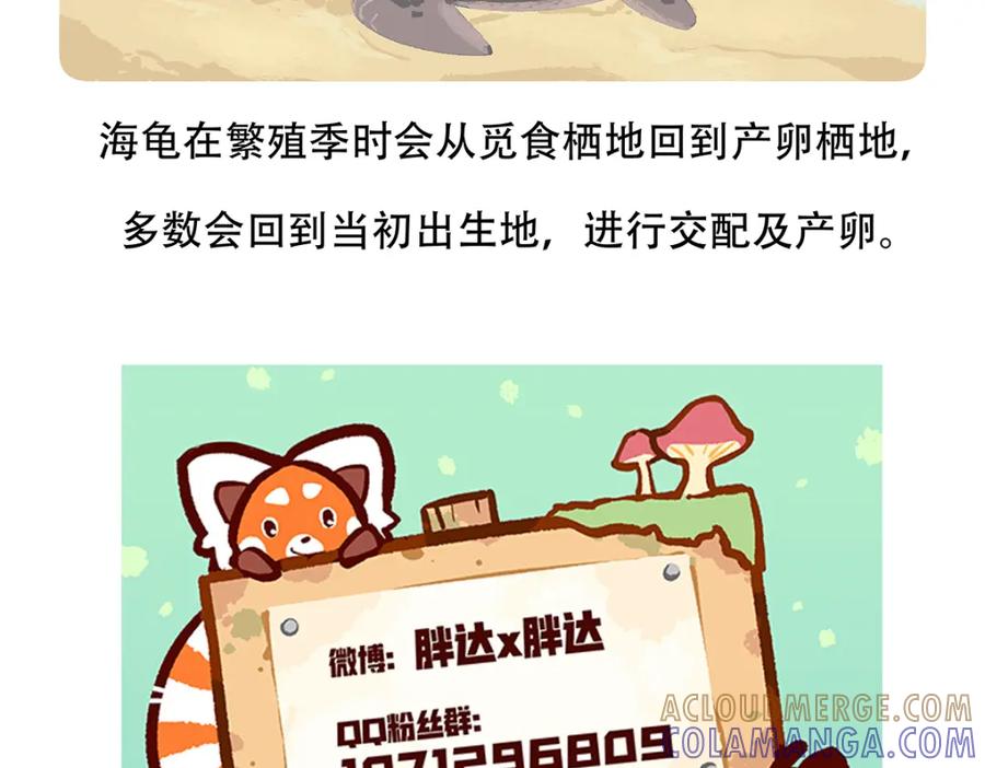 《胖达x胖达》第108话 第31页