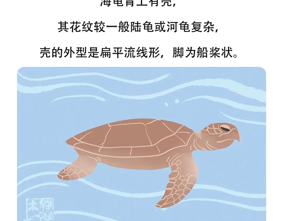 《胖达x胖达》第108话 第28页
