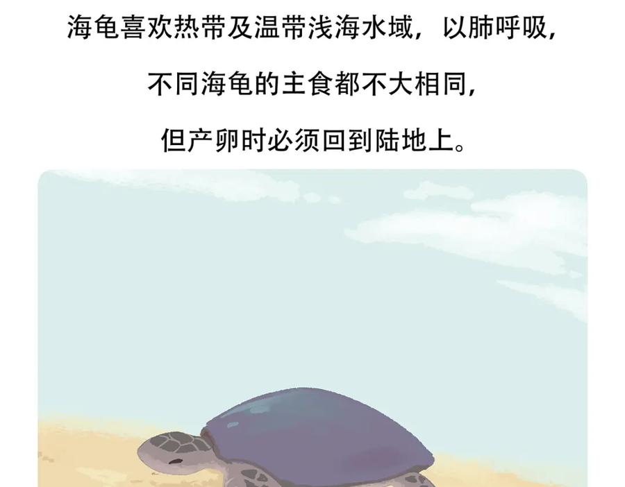 《胖达x胖达》第108话 第30页