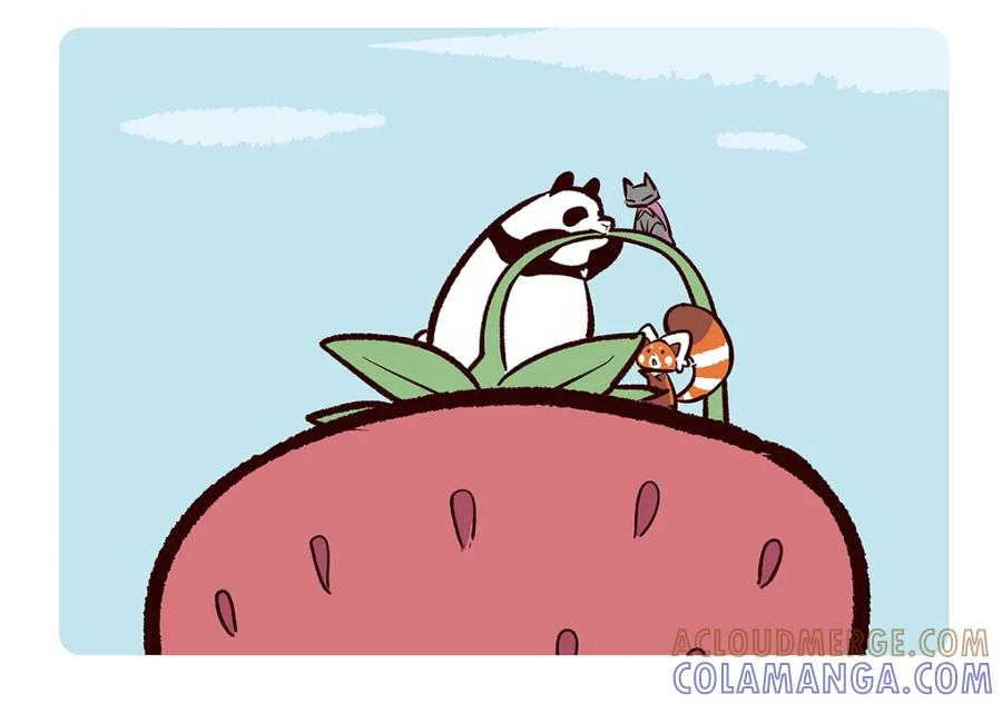 《胖达x胖达》第109话 第15页