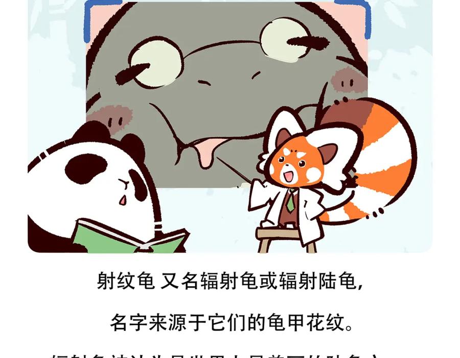 《胖达x胖达》第109话 第26页