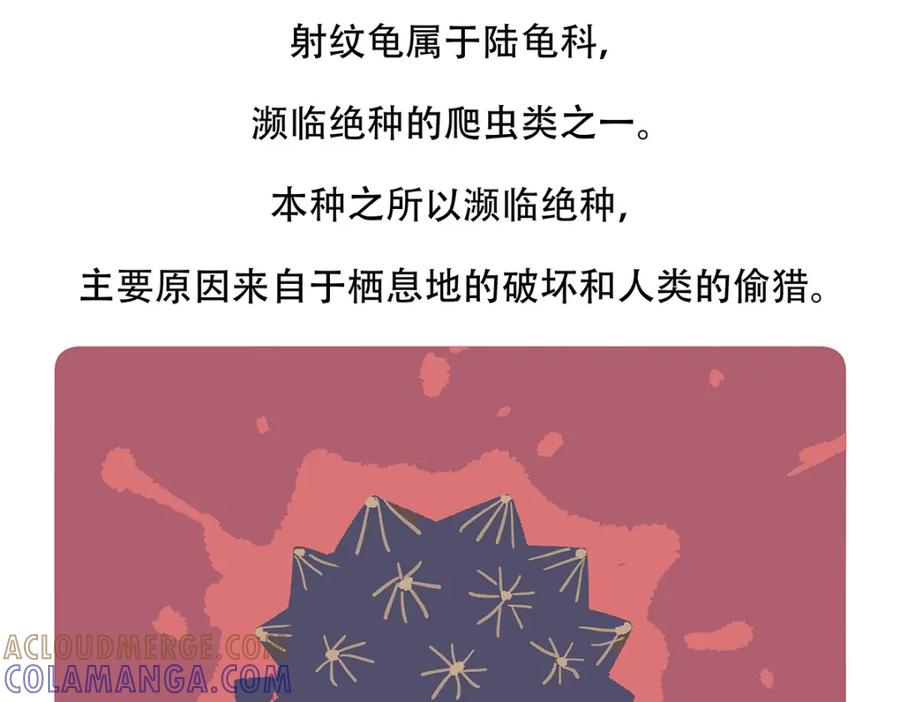 《胖达x胖达》第109话 第29页